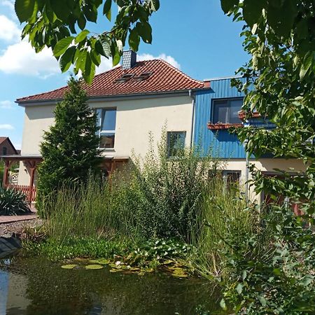 Ferienwohnung Toelle Bad Rehburg Zewnętrze zdjęcie